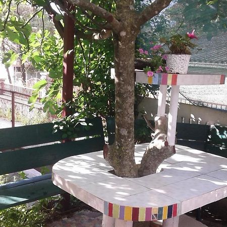 Appartement Eleni à Tivat Extérieur photo