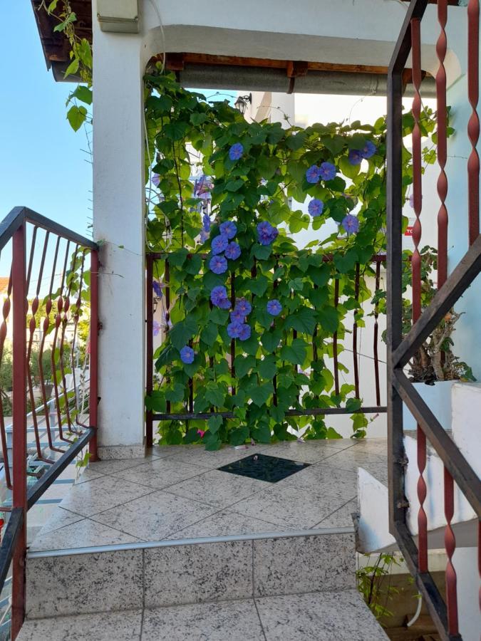 Appartement Eleni à Tivat Extérieur photo